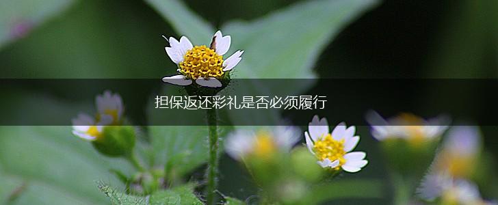 担保返还彩礼是否必须履行,第1张