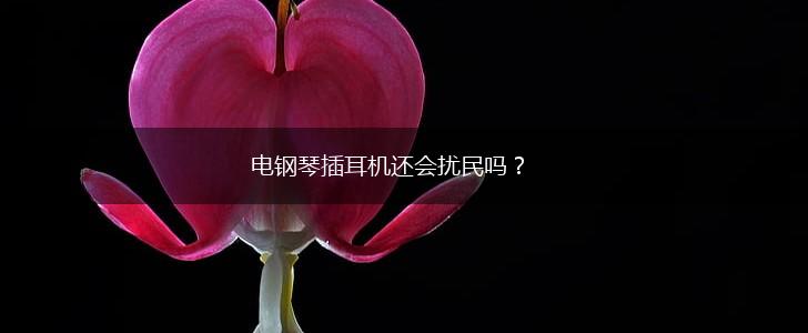 电钢琴插耳机还会扰民吗？,第1张
