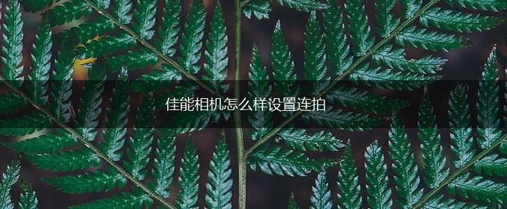 佳能相机怎么样设置连拍,第1张