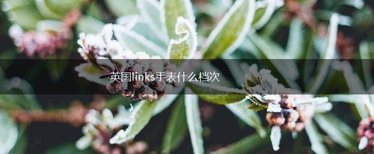 英国links手表什么档次,第1张 英国links手表什么档次,第1张
