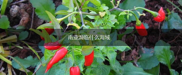 南亚濒临什么海域,第1张