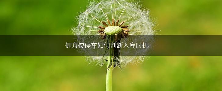 侧方位停车如何判断入库时机,第1张