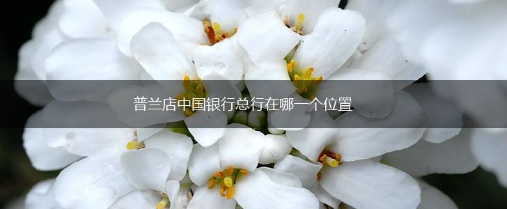 普兰店中国银行总行在哪一个位置,第1张