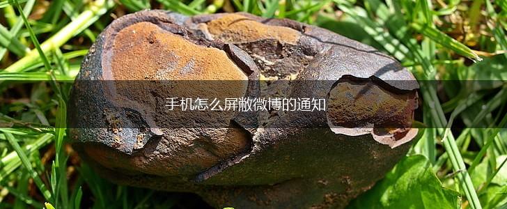 手机怎么屏敝微博的通知,第1张