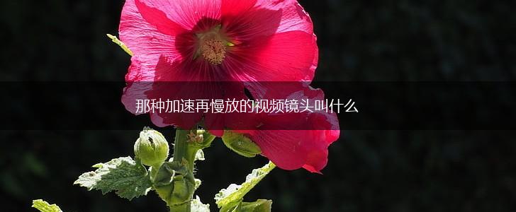 那种加速再慢放的视频镜头叫什么,第1张