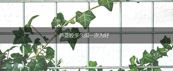 芦荟胶多久用一次为好,第1张