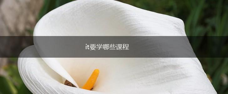 it要学哪些课程,第1张