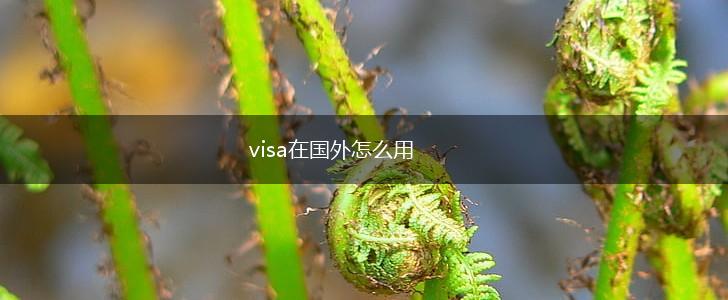 visa在国外怎么用,第1张