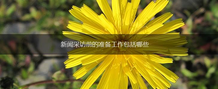 新闻采访前的准备工作包括哪些,第1张