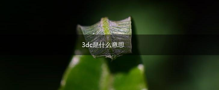 3dc是什么意思,第1张
