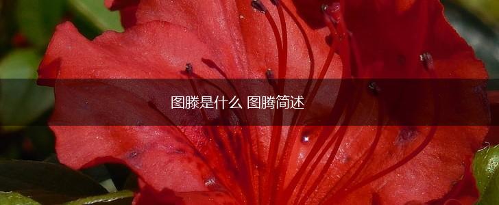 图滕是什么 图腾简述,第1张