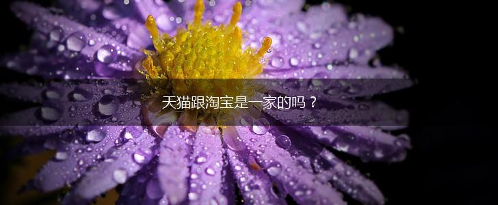 天猫跟淘宝是一家的吗？,第1张
