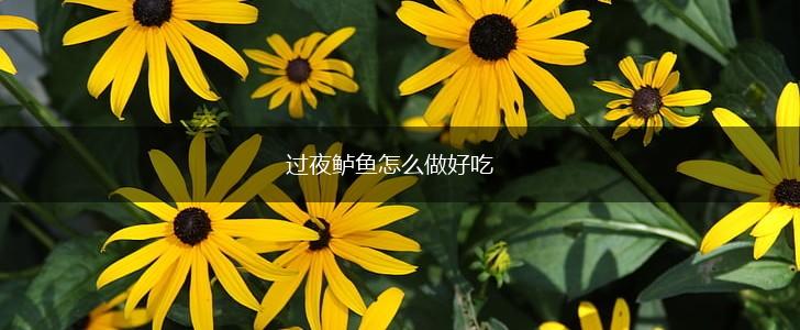 过夜鲈鱼怎么做好吃,第1张