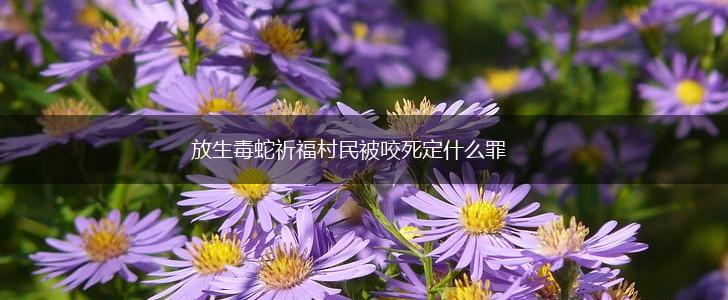放生毒蛇祈福村民被咬死定什么罪,第1张