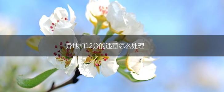 异地扣12分的违章怎么处理,第1张 异地扣12分的违章怎么处理,第1张