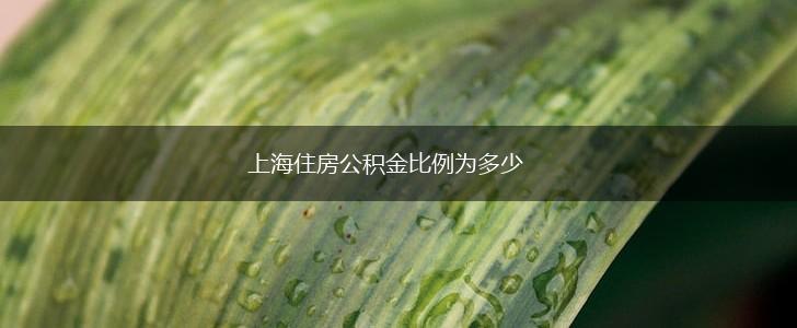 上海住房公积金比例为多少,第1张