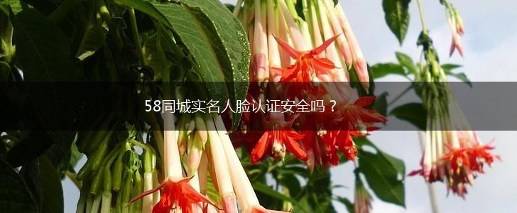 58同城实名人脸认证安全吗？,第1张