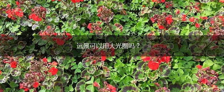 远景可以用大光圈吗？,第1张