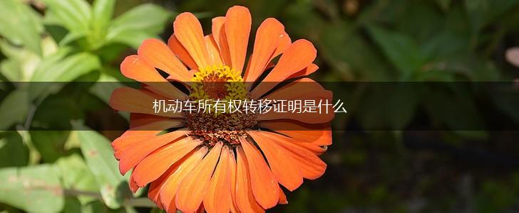 机动车所有权转移证明是什么,第1张