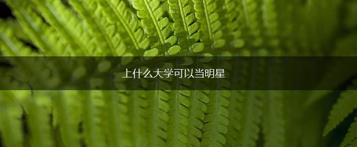 上什么大学可以当明星,第1张