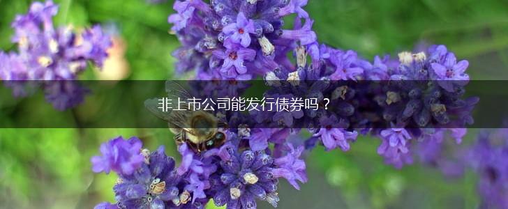 非上市公司能发行债券吗？,第1张