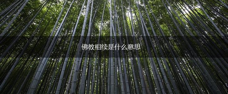佛教相续是什么意思,第1张