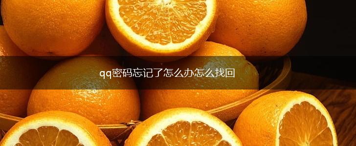 qq密码忘记了怎么办怎么找回,第1张 qq密码忘记了怎么办怎么找回,第1张