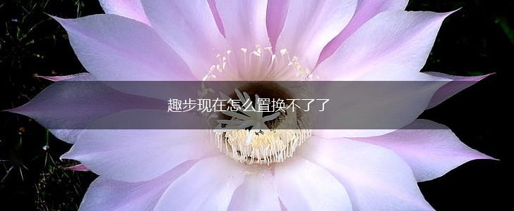 趣步现在怎么置换不了了,第1张