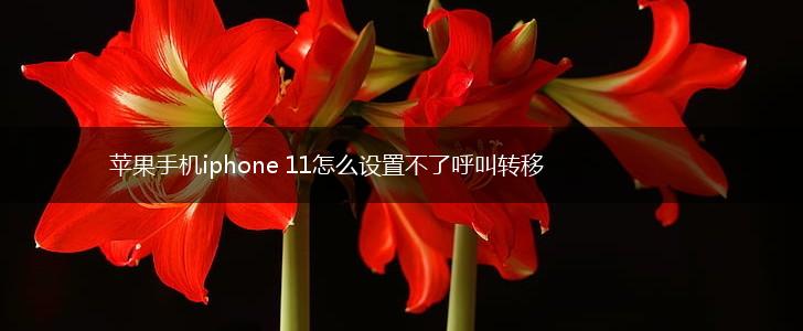 苹果手机iphone 11怎么设置不了呼叫转移,第1张