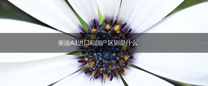 奥迪A3进口和国产区别是什么,第1张