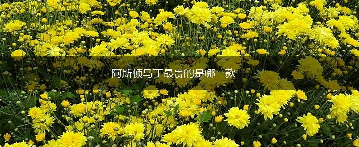 阿斯顿马丁最贵的是哪一款,第1张