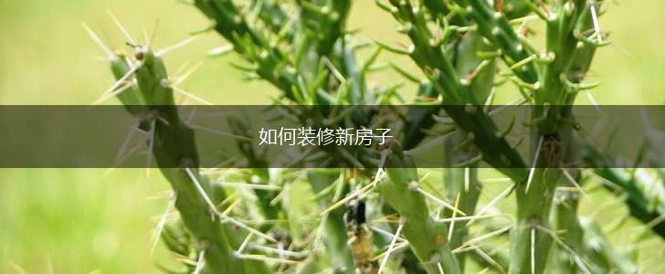 如何装修新房子,第1张
