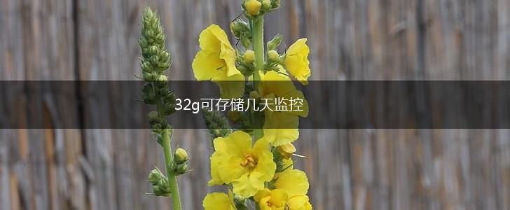 32g可存储几天监控,第1张