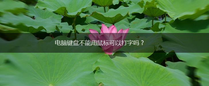 电脑键盘不能用鼠标可以打字吗?,第1张 电脑键盘不能用鼠标可以打字吗?,第1张