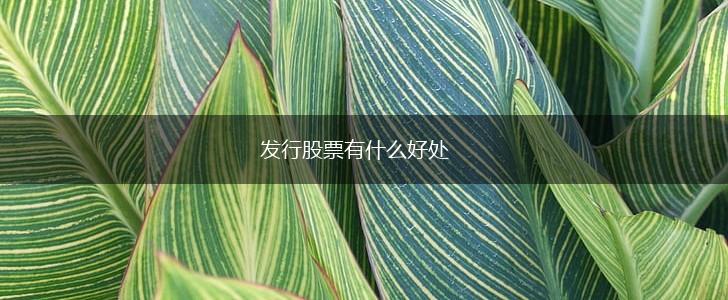 发行股票有什么好处,第1张