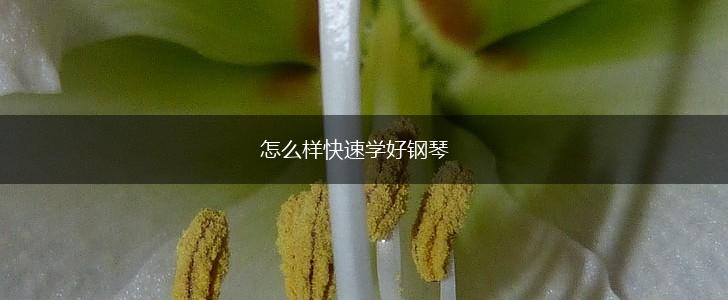 怎么样快速学好钢琴,第1张