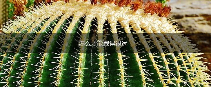 怎么才能跑得很远,第1张
