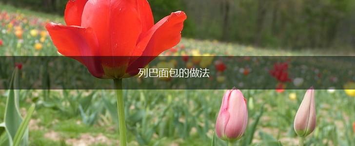 列巴面包的做法,第1张