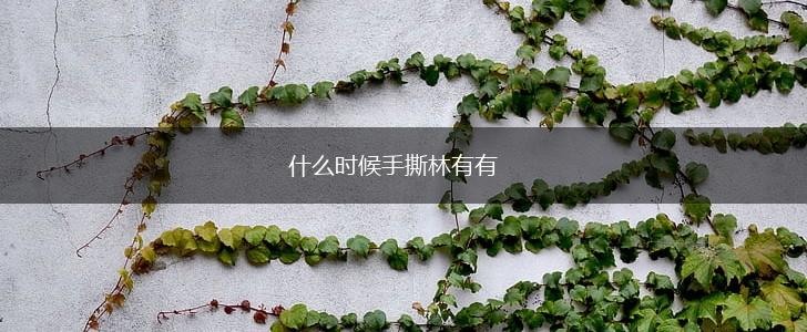 什么时候手撕林有有,第1张