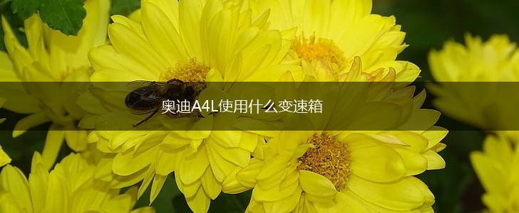 奥迪A4L使用什么变速箱,第1张