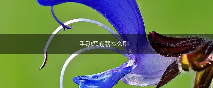 手动惩戒器怎么刷,第1张