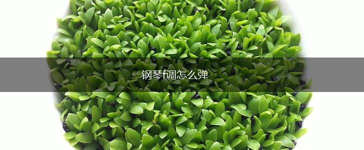 钢琴f调怎么弹,第1张