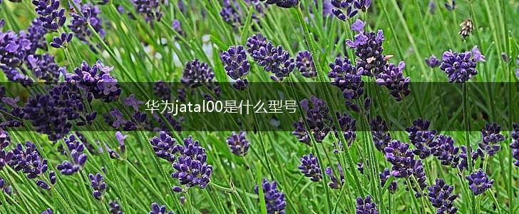 华为jatal00是什么型号,第1张