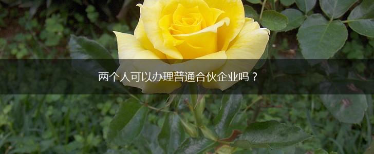 两个人可以办理普通合伙企业吗？,第1张
