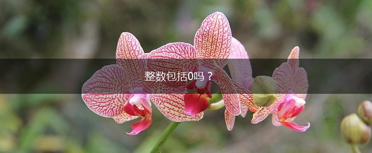 整数包括0吗？,第1张