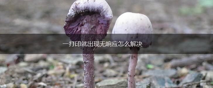 一打印就出现无响应怎么解决,第1张