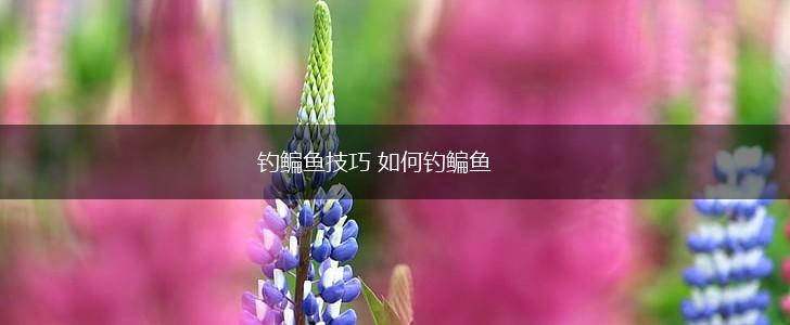 钓鳊鱼技巧 如何钓鳊鱼,第1张