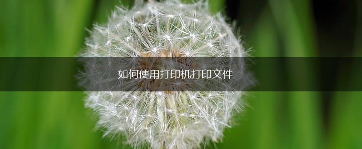 如何使用打印机打印文件,第1张