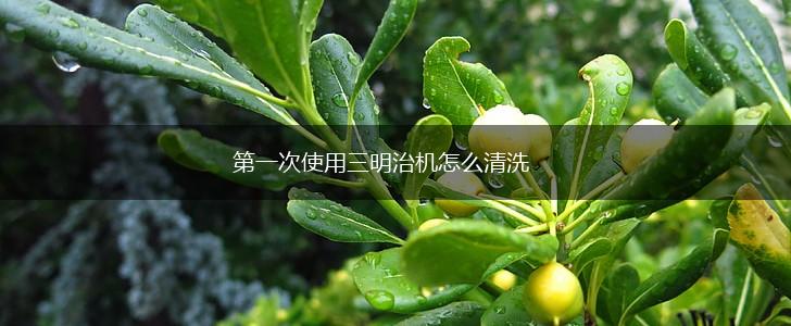 第一次使用三明治机怎么清洗,第1张