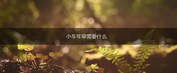小车年审需要什么,第1张